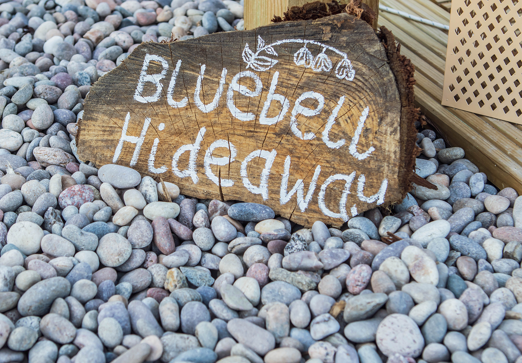 Bluebell Hideaway (Glamping Bell Tent)