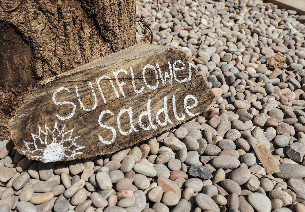 Sunflower Saddle (Glamping Bell Tent)