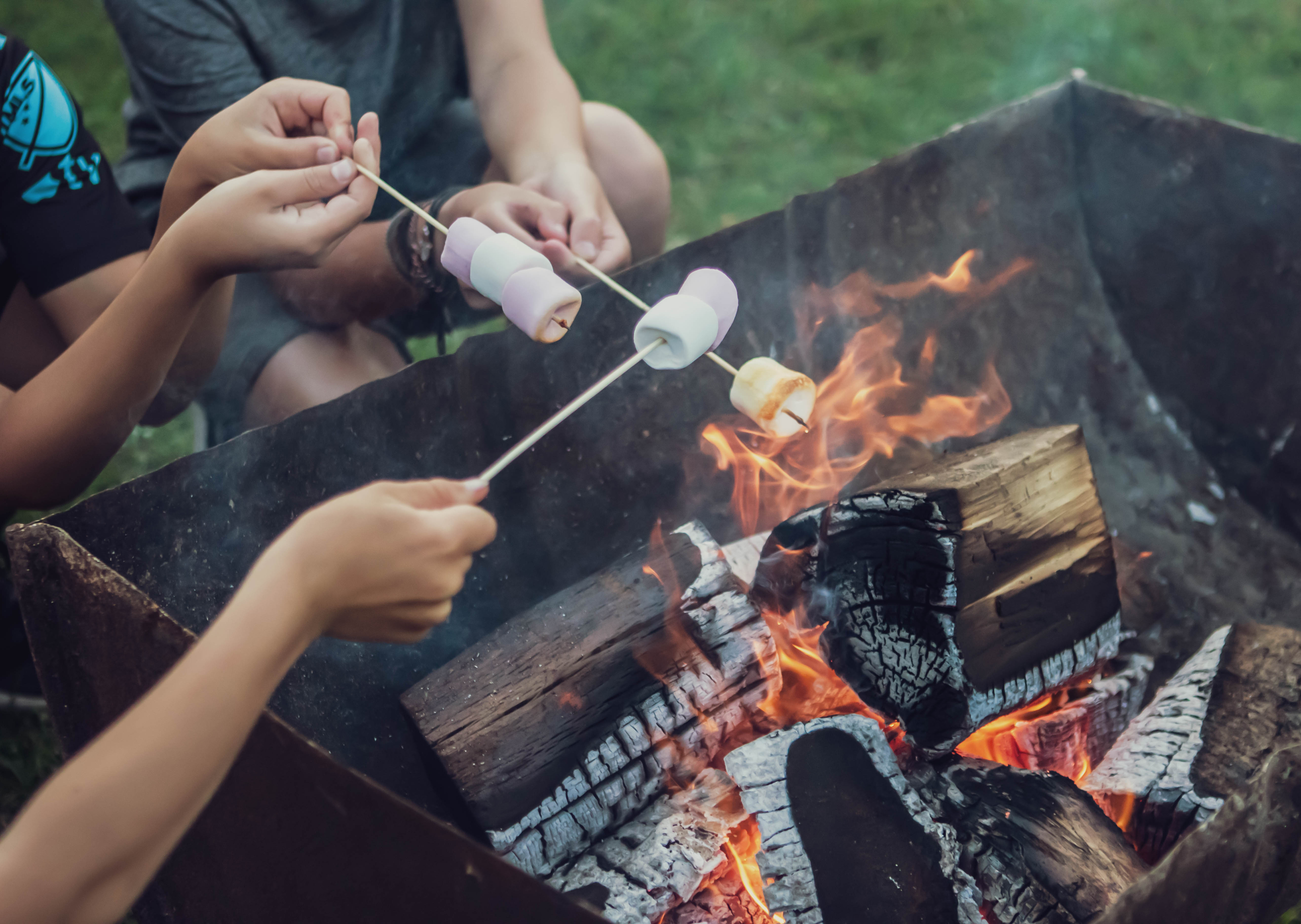 Olive Ranch (Glamping Bell Tent)