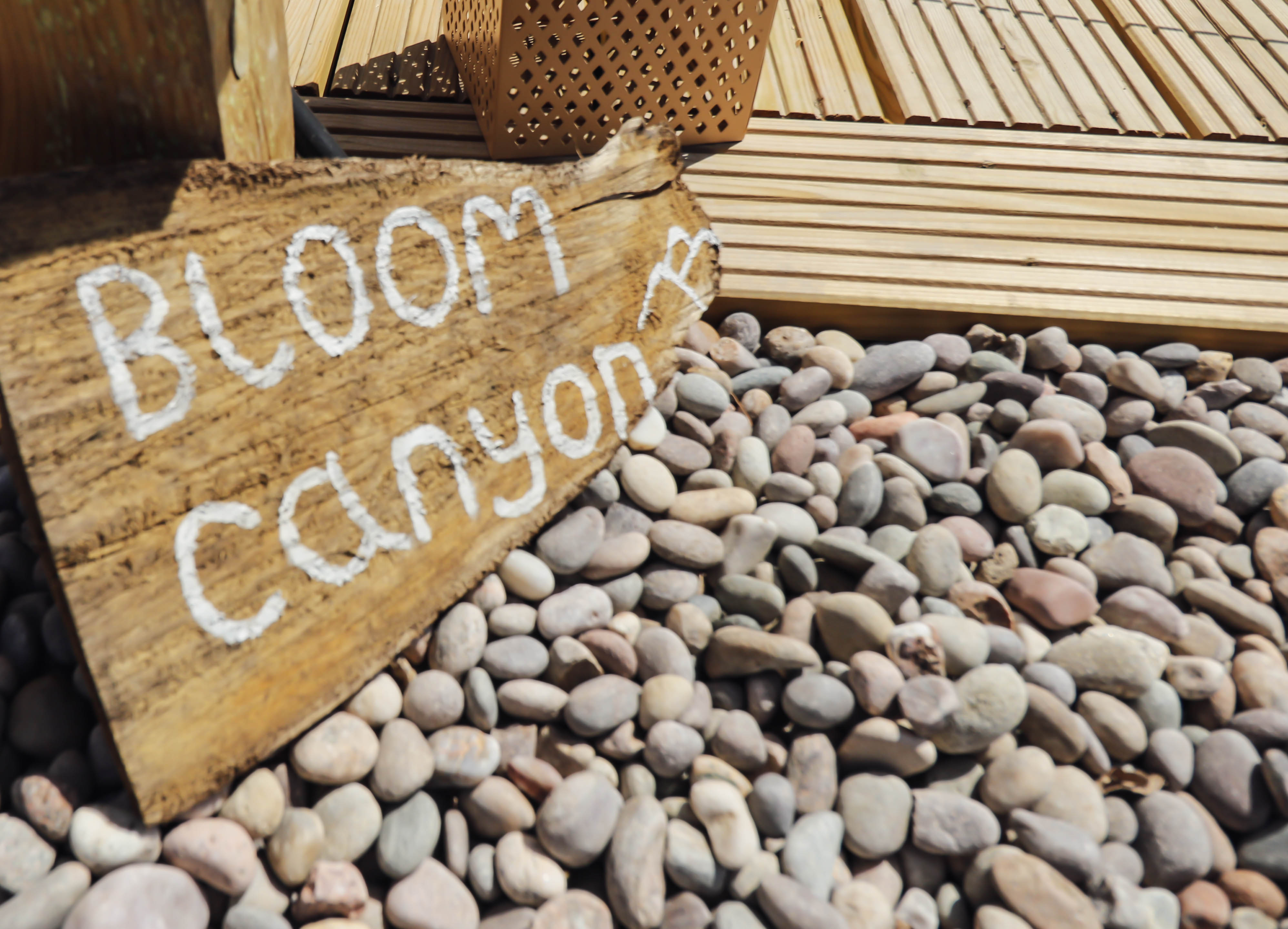 Bloom Canyon (Glamping Bell Tent)