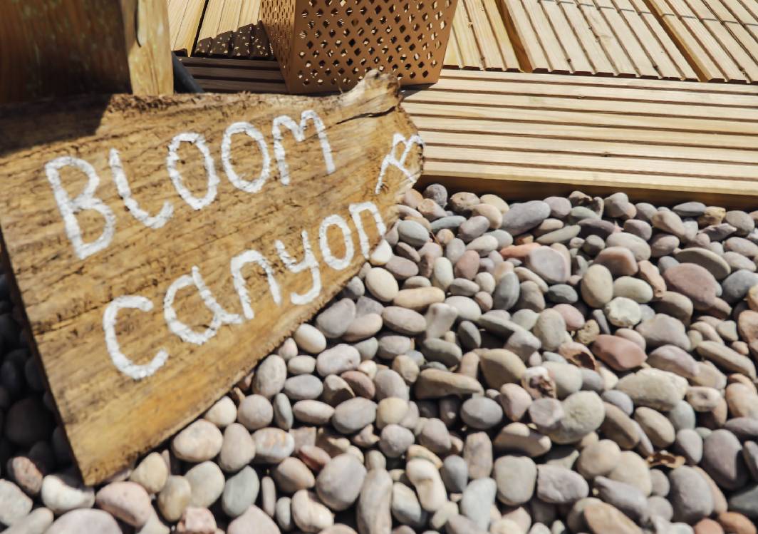 Bloom Canyon (Glamping Bell Tent)