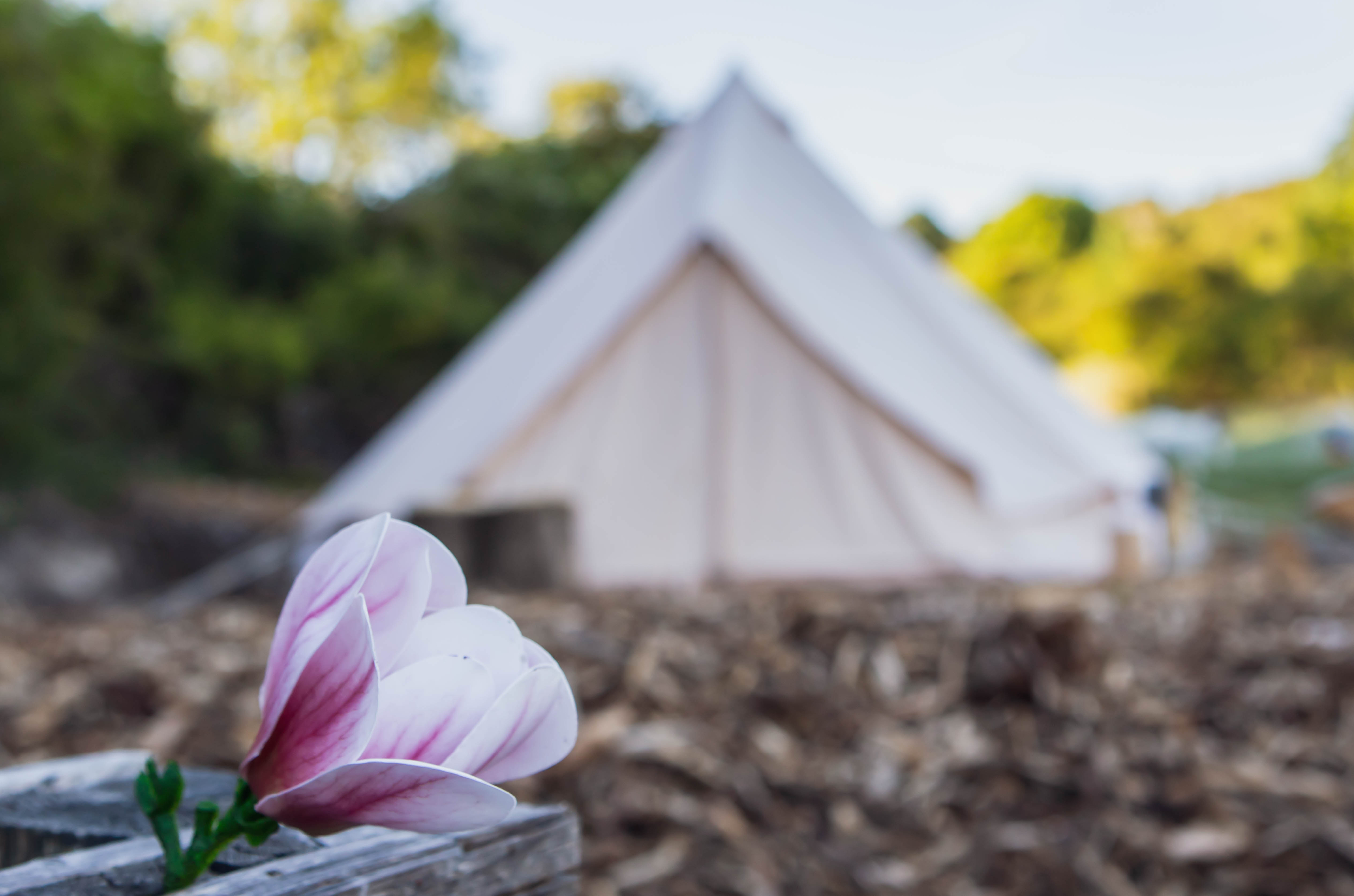 Sunflower Saddle (Glamping Bell Tent)