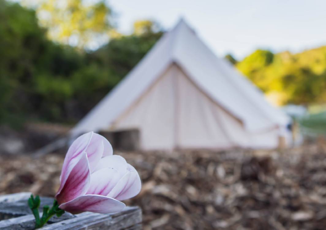 Bloom Canyon (Glamping Bell Tent)